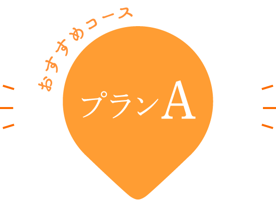 おすすめコース プランA