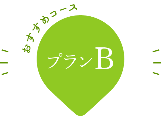 おすすめコース プランB